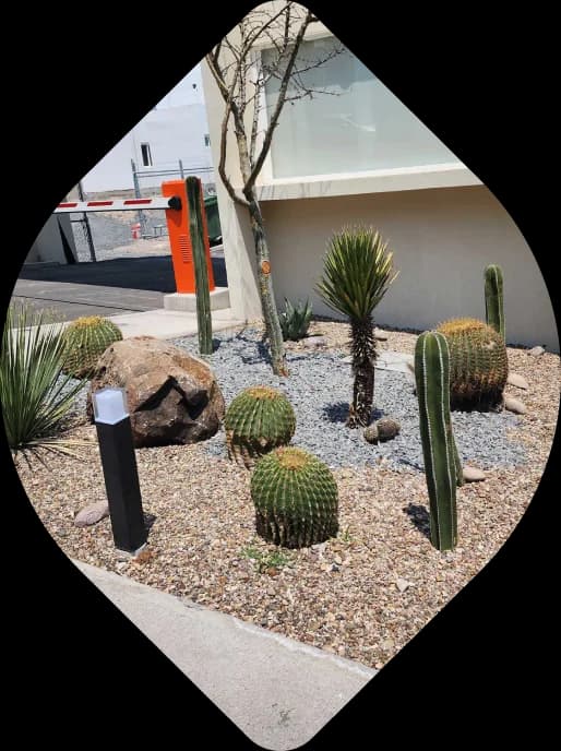 Detalle de jardín xerófito con cactáceas y grava ornamental.
