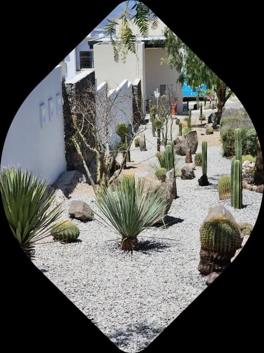 Detalle de jardín xerófito con cactáceas y grava ornamental.
