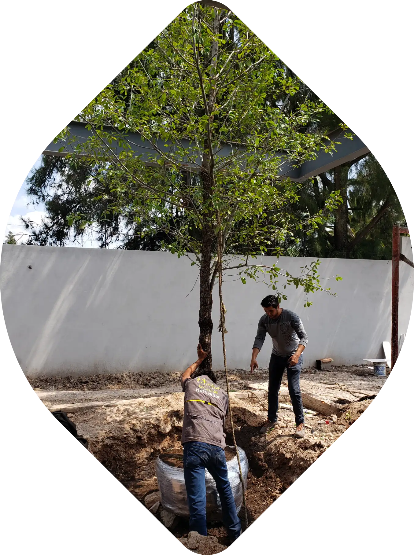 Jardín xerófito con grava, cactáceas y muro de piedra.