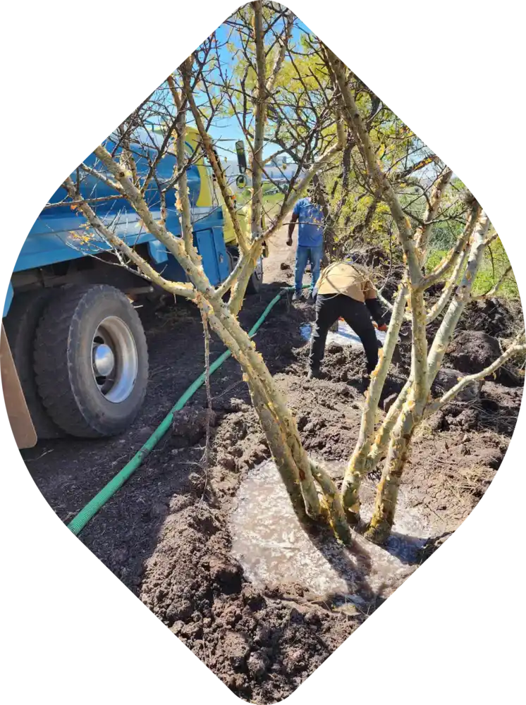 Operarios realizando mantenimiento integral y riego en zona ajardinada.