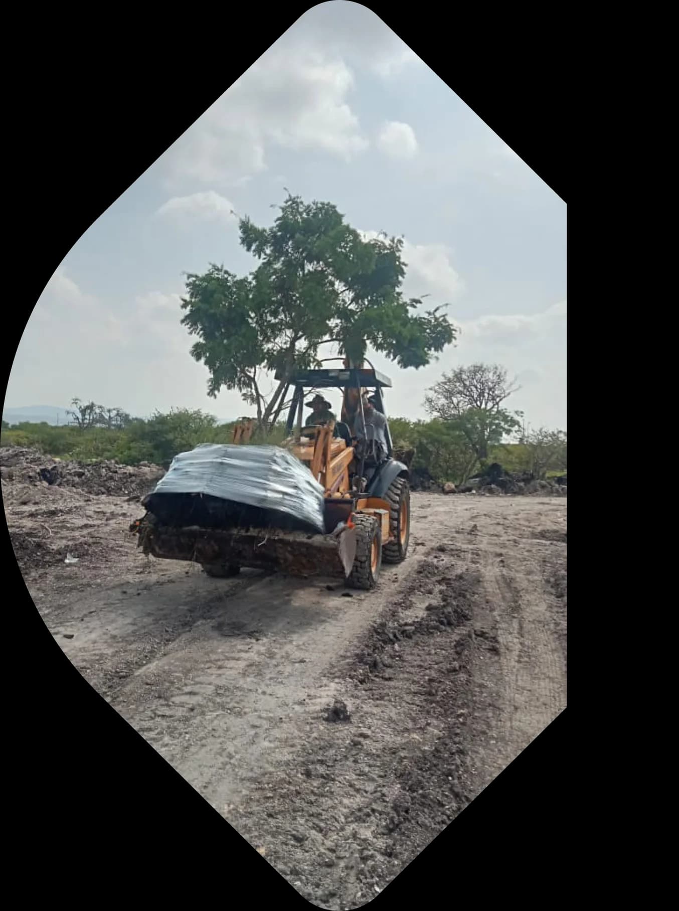 Equipo realizando reubicación de árbol en servicio de rescate de flora nativa.