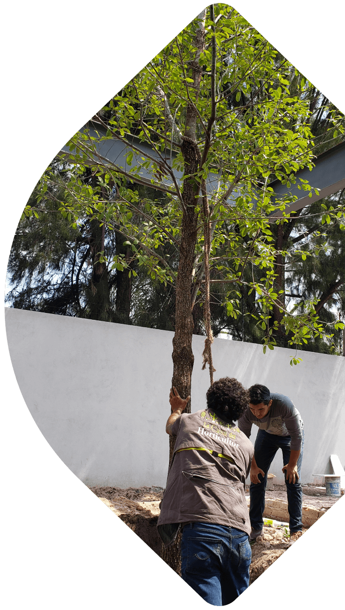 rescate de flora queretaro